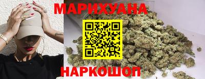МДПВ Новозыбков