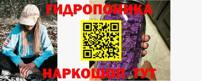 МДПВ Новозыбков