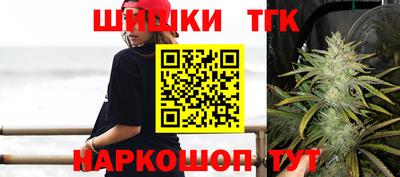 МДПВ Новозыбков