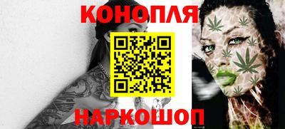 МДПВ Новозыбков