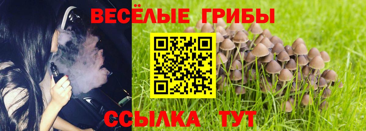 Галлюциногенные грибы мухоморы  Вход с VPN  Ставрополь 